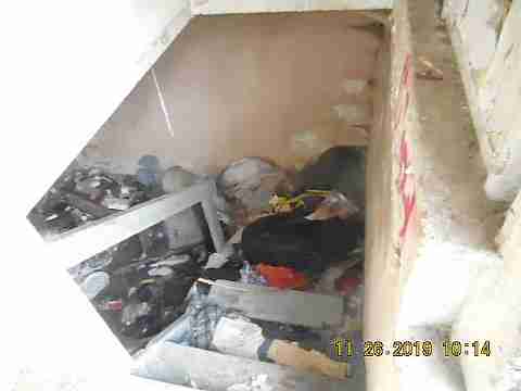 14394 Cruse (6)_m.jpg